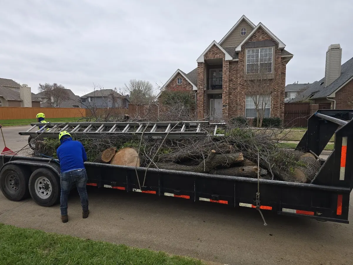 Expert Tree Fertilization with proper safety equipment in Young America